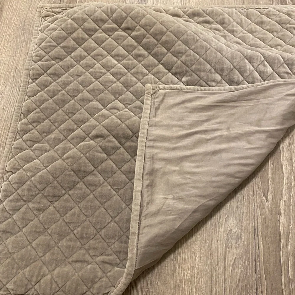 Restoration Hardware RH Velvet Euro Pillow Sham Gray
